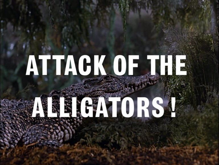 thunderbirds attack of the alligators