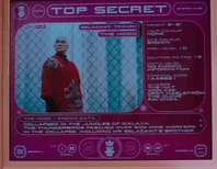 Lady P.'s data file on The Hood