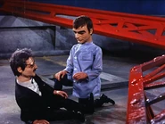 Mitchell to the rescue