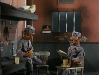 Cellmates: Nosey and Fred