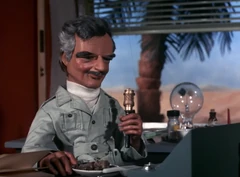 Keeping in contact with the dive