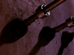 The three powerful suction pads