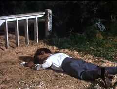 Gate hinged on the left