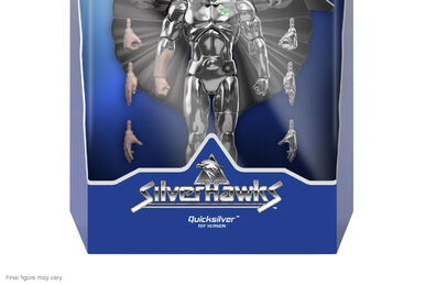 ファルコンサモナー Kenner: Moon Stryker with Tail-Spin | ThunderCats wiki | Fandom
