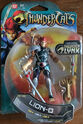 Front of Wave 1 Lion-O from world-wide in package