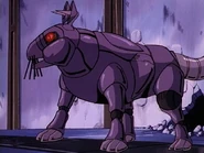 40 Wolfrat2.jpg (67 KB)