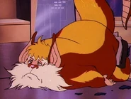 Wolfrat12.jpg (70 KB)