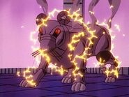 Wolfrat10.jpg (72 KB)