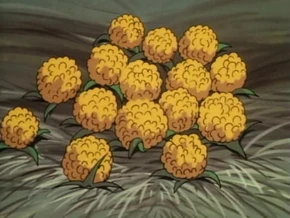 Brackenberries