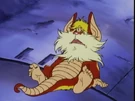 Snarf