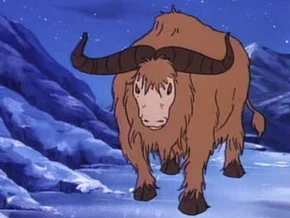 Yak