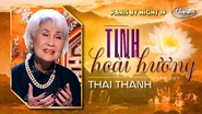 Nhạc phẩm Tình Hoài Hương