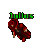 Julius.gif