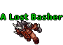 A Lost Basher