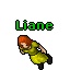 Liane