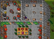 Valorous Venore | TibiaWiki | Fandom