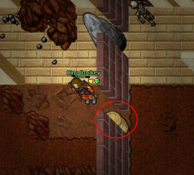 TIBIA QUESTS #13 HOW TO DO THE BRIGHT SWORD QUEST (OUTLAW CAMP) 