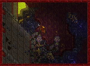 Summer2010 4.jpg (100 KB)