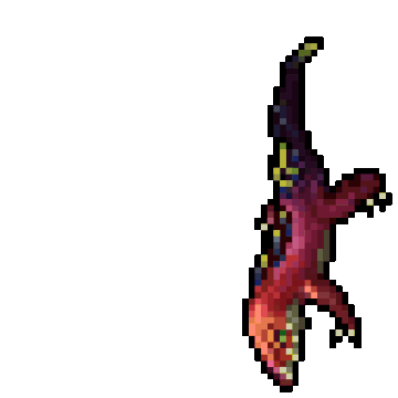 Coral brooch tibia discount