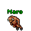 Maro