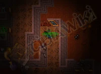 Delany's Exclusive Screenshot for His Interview with TibiaWiki