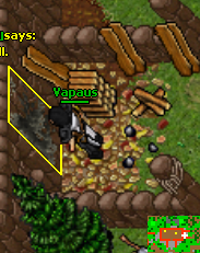 Rottin Wood and the Married Men Quest repair 1.png