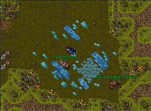 Questy: Bigfoot's Burden Quest - Tibia ~