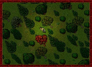 Teaser 1 Outlaw Camp 3a.jpg (88 KB)