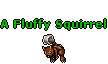A Fluffy Squirrel