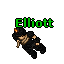 Elliott