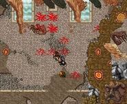 Sneeze Blossom near the waterfall.