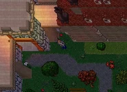 Carlin streets (revamped).