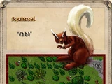 Squirrel