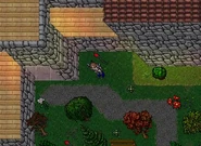 Carlin streets (now).