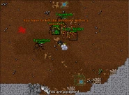 You have 5 minutes to kill the Cave Spider or you will be sent back to the mine.