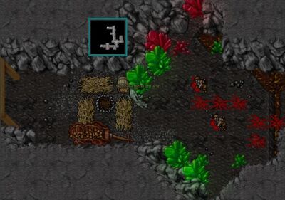 Fenrock – Tibia Wiki