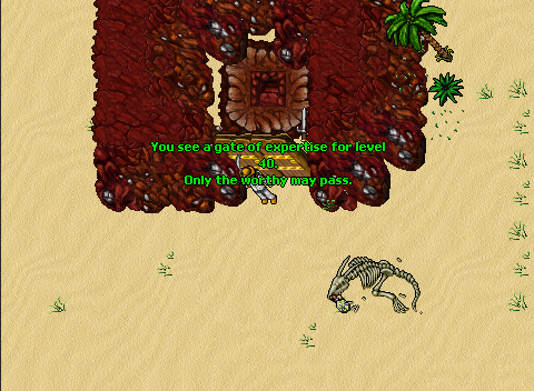 Questy: Life Ring Quest - Tibia ~