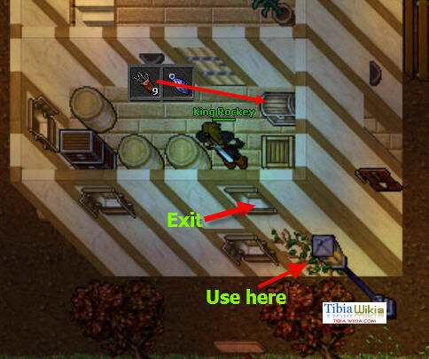 The Explorer Society Quest - Tibia Wiki