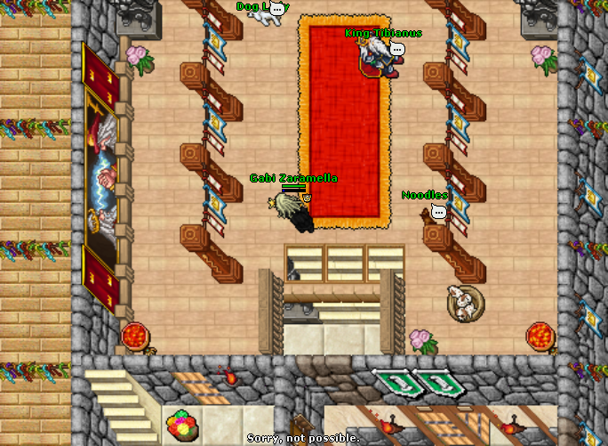 Noodles is Gone Mini World Change TibiaWiki Fandom