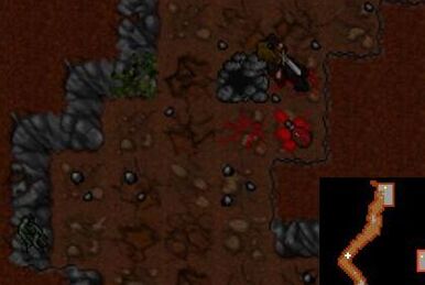 TIBIA - MAD MAGE ROOM QUEST - HAT OF THE MAD QUEST - STEALTH RING