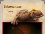 Salamander
