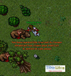 Life Ring Quest/Spoiler – Tibia Wiki