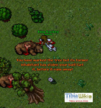 The New Frontier Quest/Spoiler | TibiaWiki | Fandom