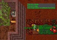 The Codex of Ultimate Boredom is one of the Fabulous Items of Tibia