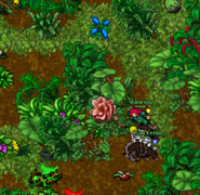 Plants.png (722 KB)
