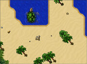 Seaturtle.jpg