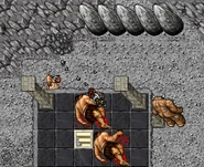 If the rocks exist, you need to pull the lever.