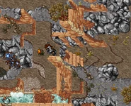 Sneeze Blossom in the aqueduct.