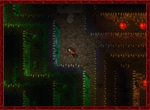 Summer2010 3.jpg (97 KB)