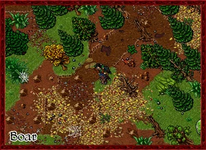 Boar.png (421 KB) Rapid Boar